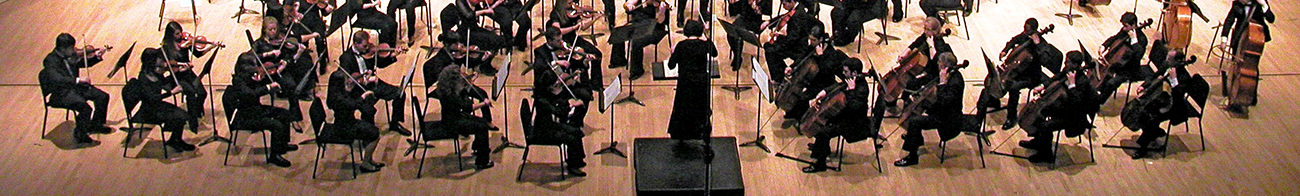 LIU Post Orchestra at Tilles Center